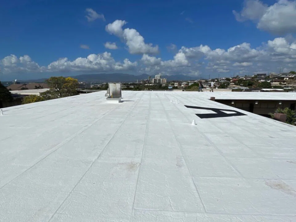 REFLEX Roof Coating Project 3